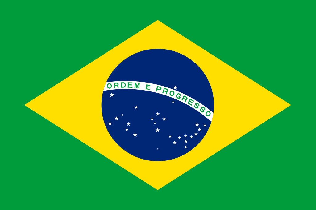 これまでに解決した国際離婚における当事者の国籍　ブラジル