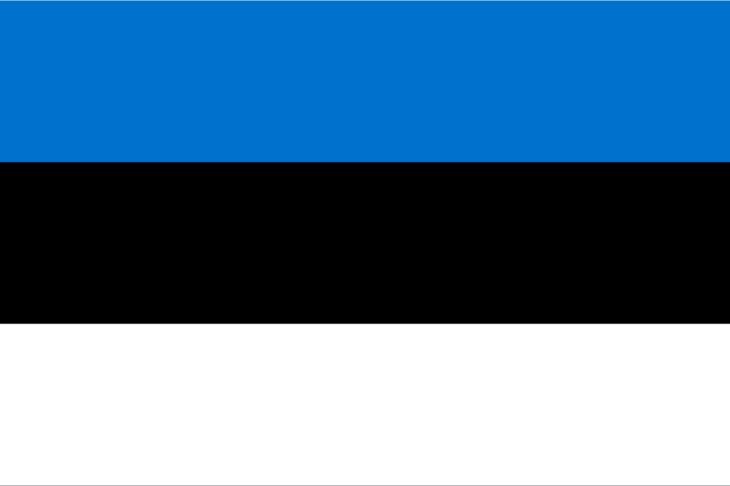 これまでに解決した国際離婚における当事者の国籍　エストニア